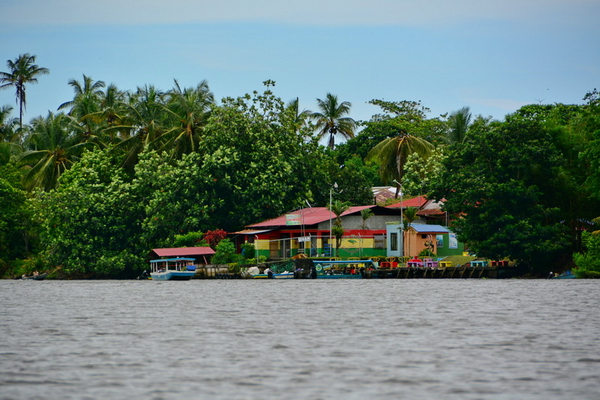 Tortuguero desde el Canal Tortuguero desde el Canal