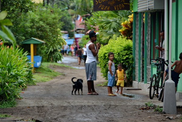 Calles de Tortuguero Calles de Tortuguero