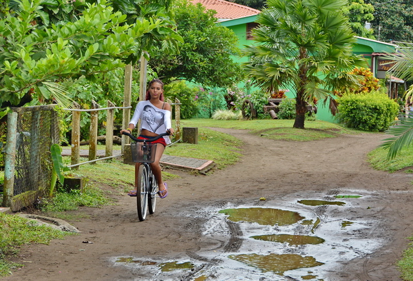 Calles de Tortuguero Calles de Tortuguero