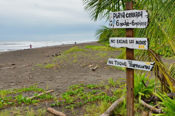 Playa de Tortuguero Playa de Tortuguero