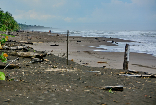 Playa de Tortuguero Playa de Tortuguero