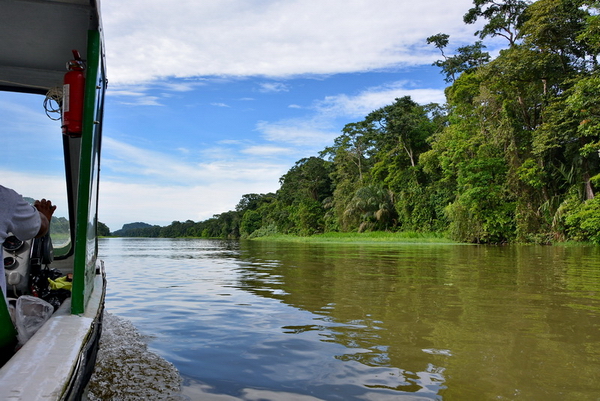 Canales de Tortuguero Canales de Tortuguero