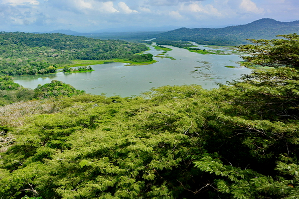 El Chagres en Gamboa El Chagres en Gamboa