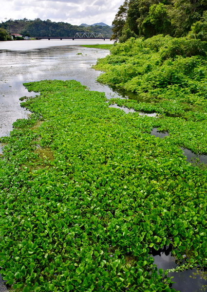 en las orillas del Canal en las orillas del Canal
