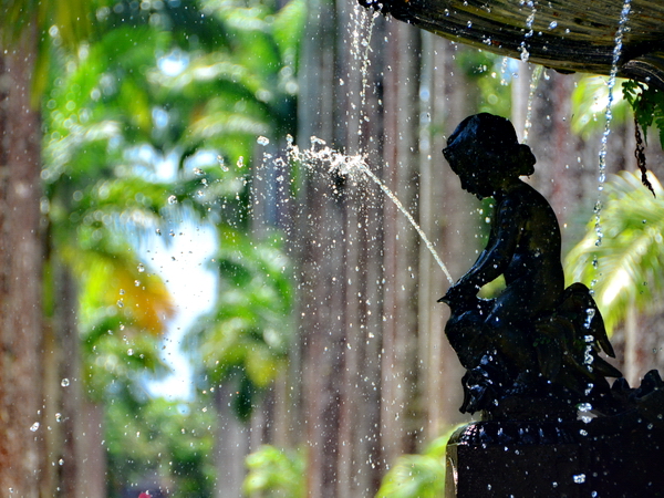 Fuente del Jardín Botánico de Rio de Janeiro Fuente del Jardín Botánico de Rio de Janeiro