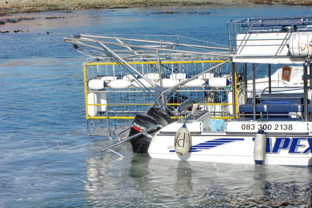 En Gansbaai 5 En Gansbaai 5