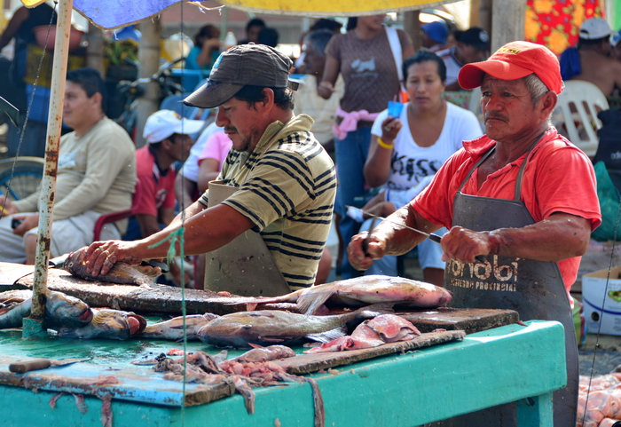 Descarga del pescado en Puerto López 11 Descarga del pescado en Puerto López 11