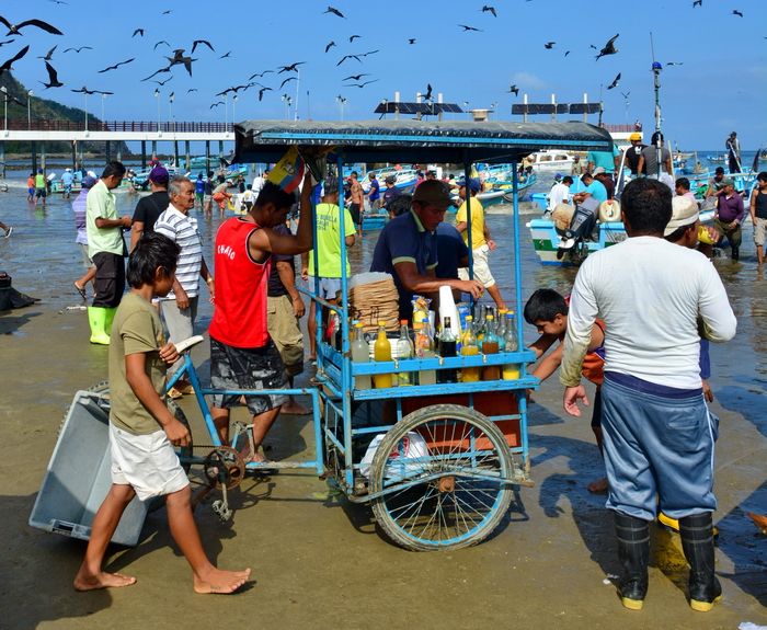 Descarga del pescado en Puerto López 12 Descarga del pescado en Puerto López 12