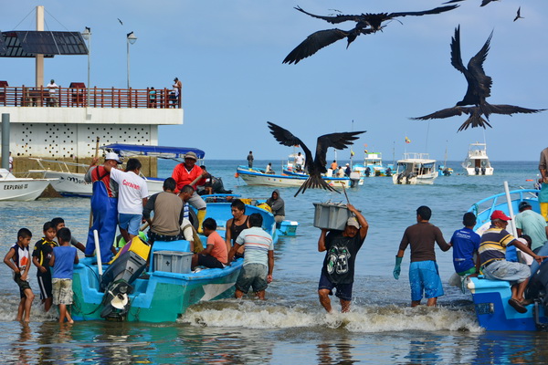 Descarga del pescado en Puerto López 1 Descarga del pescado en Puerto López 1