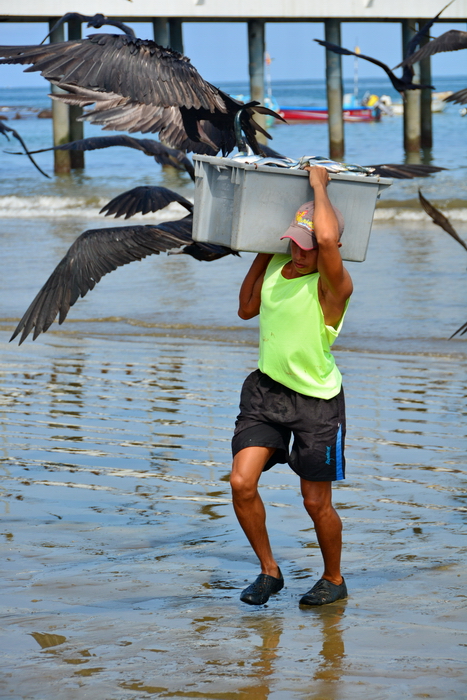 Descarga del pescado en Puerto López 18 Descarga del pescado en Puerto López 18