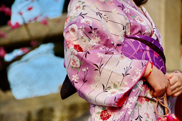 Fotografiando el Hanami 2