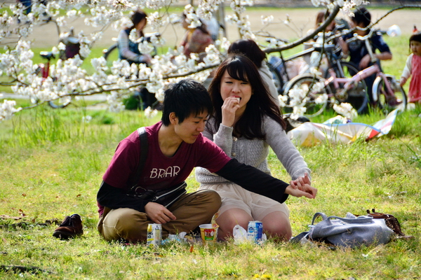 Hanami bajo los árboles 3