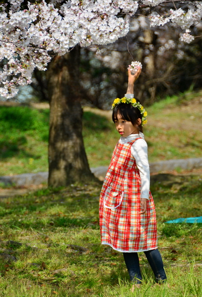 Jugando con las flores Jugando con las flores