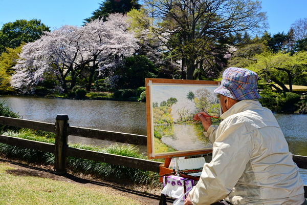Hanami en el Shinjuku Goen 3 Hanami en el Shinjuku Goen 3