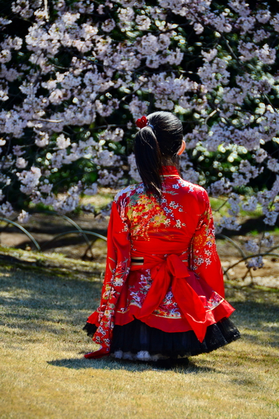 Hanami en el Shinjuku Goen 6 Hanami en el Shinjuku Goen 6