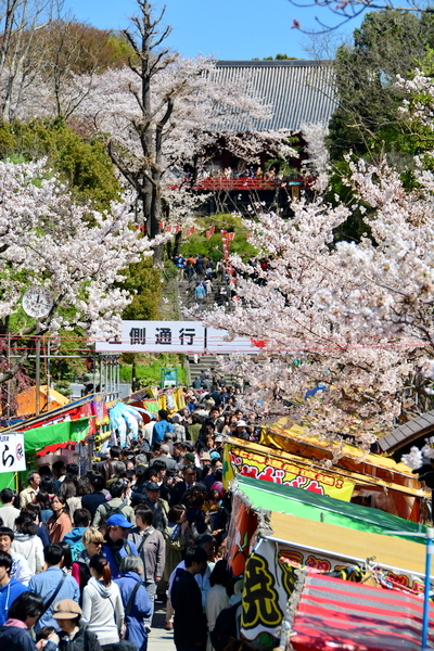 Celebrando el Hanami en Ueno 5 Celebrando el Hanami en Ueno 5