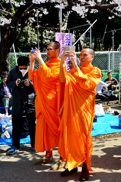 Fotografiando el Hanami 3 Fotografiando el Hanami 3