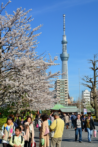 Tokyo Sky Tree Tokyo Sky Tree