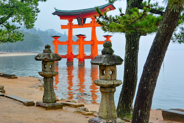 Torii de Miyajima 6