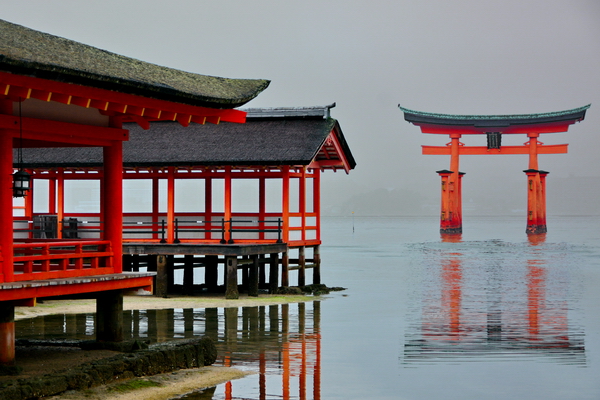 Torii de Miyajima 4 Torii de Miyajima 4