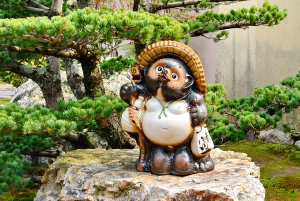 Tanuki Tanuki