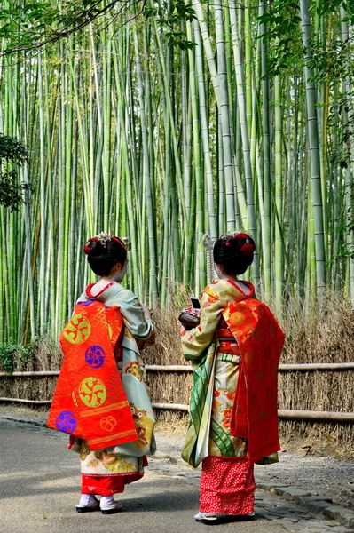 Maikos en el bosque de bambú de Arashiyama 2 Maikos en el bosque de bambú de Arashiyama 2