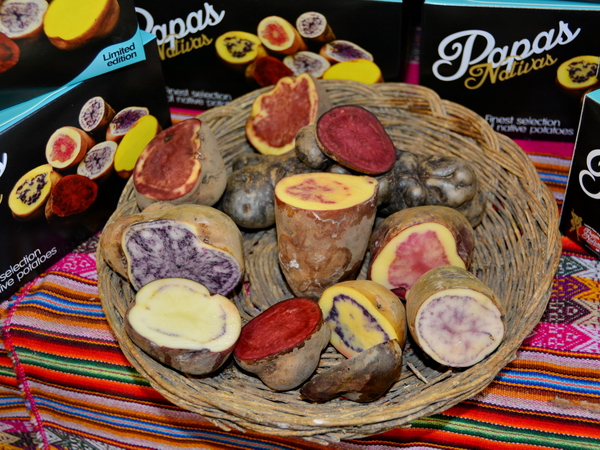 Gran Mercado Mistura 2014.Variedad de papas. Gran Mercado Mistura 2014.Variedad de papas.