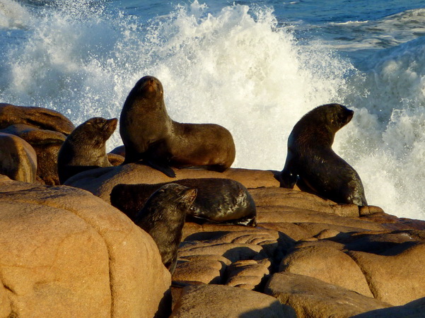 Cabo Polonio 24 Cabo Polonio 24