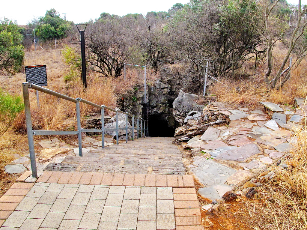 Sterkfontein 00011 Sterkfontein 00011