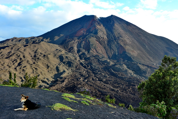 Volcan Pacaya 8 Volcan Pacaya 8