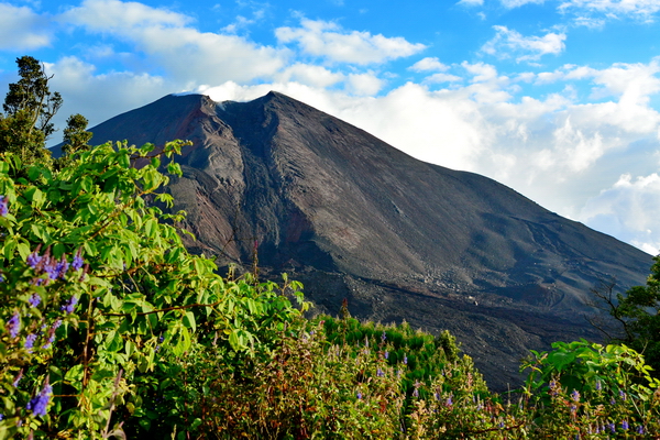 Volcan Pacaya 1 Volcan Pacaya 1