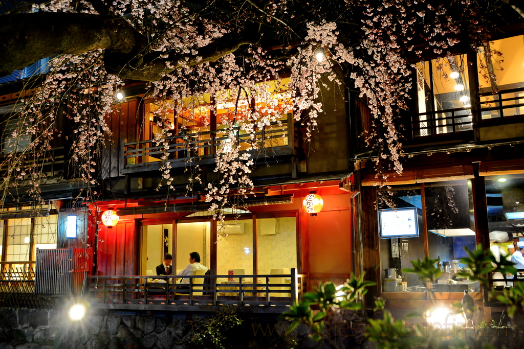 En Pontocho Kyoto En Pontocho Kyoto