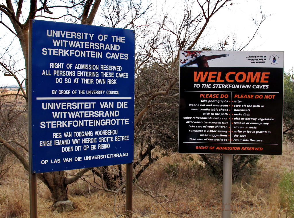 Sterkfontein 00010 Sterkfontein 00010
