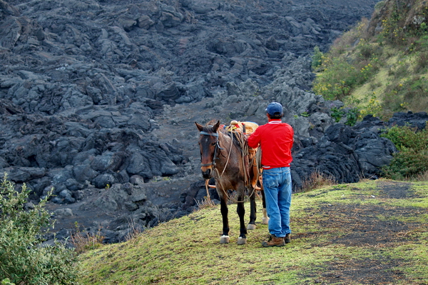 Volcan Pacaya 4 Volcan Pacaya 4
