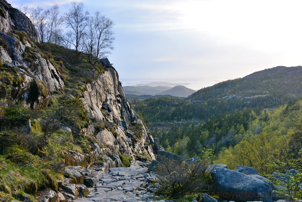 Preikestolen 5497 Preikestolen 5497