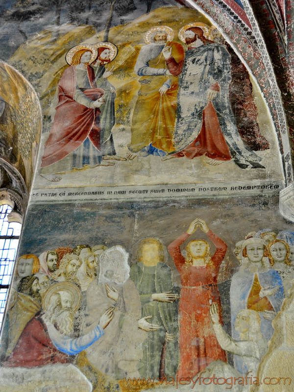 Avignon 005