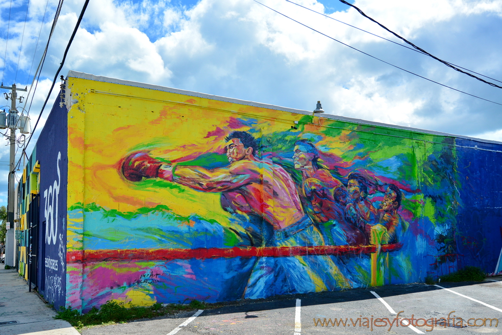 Wynwood 2482
