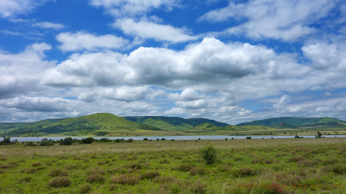 Pilanesberg 1010846 Pilanesberg 1010846