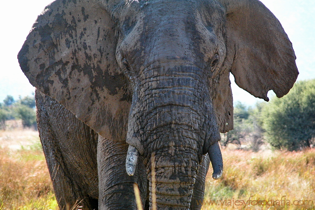 Pilanesberg 6912 Pilanesberg 6912