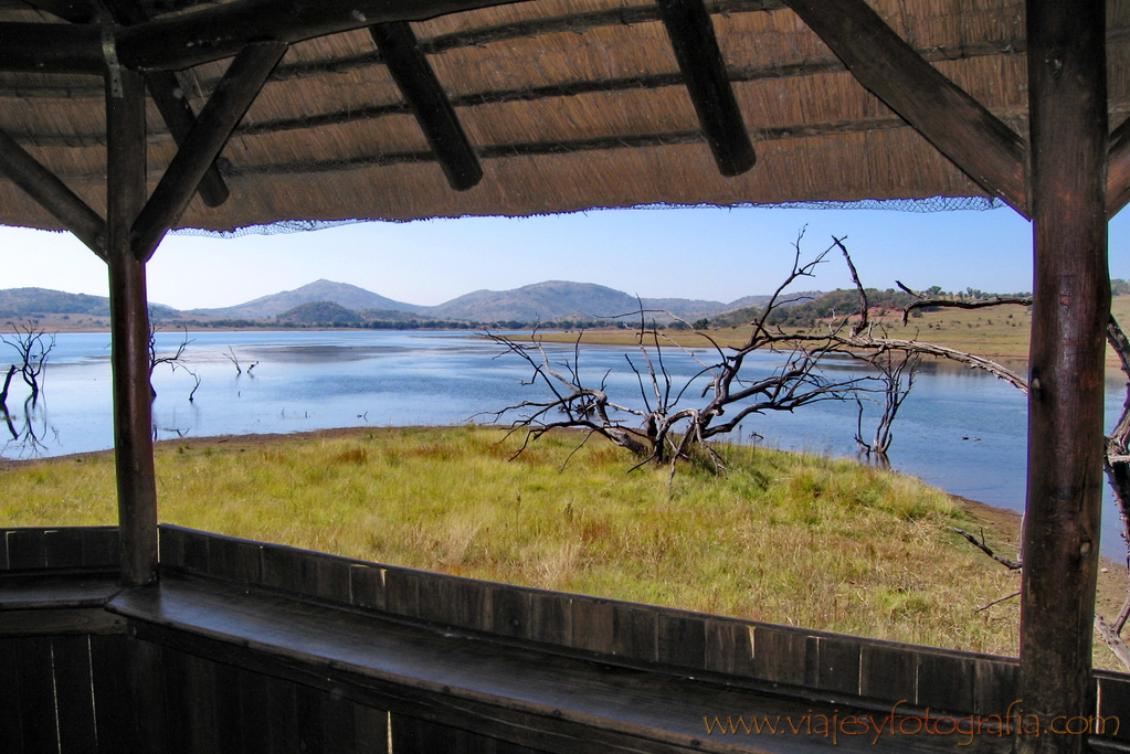 Pilanesberg _4570 Pilanesberg _4570