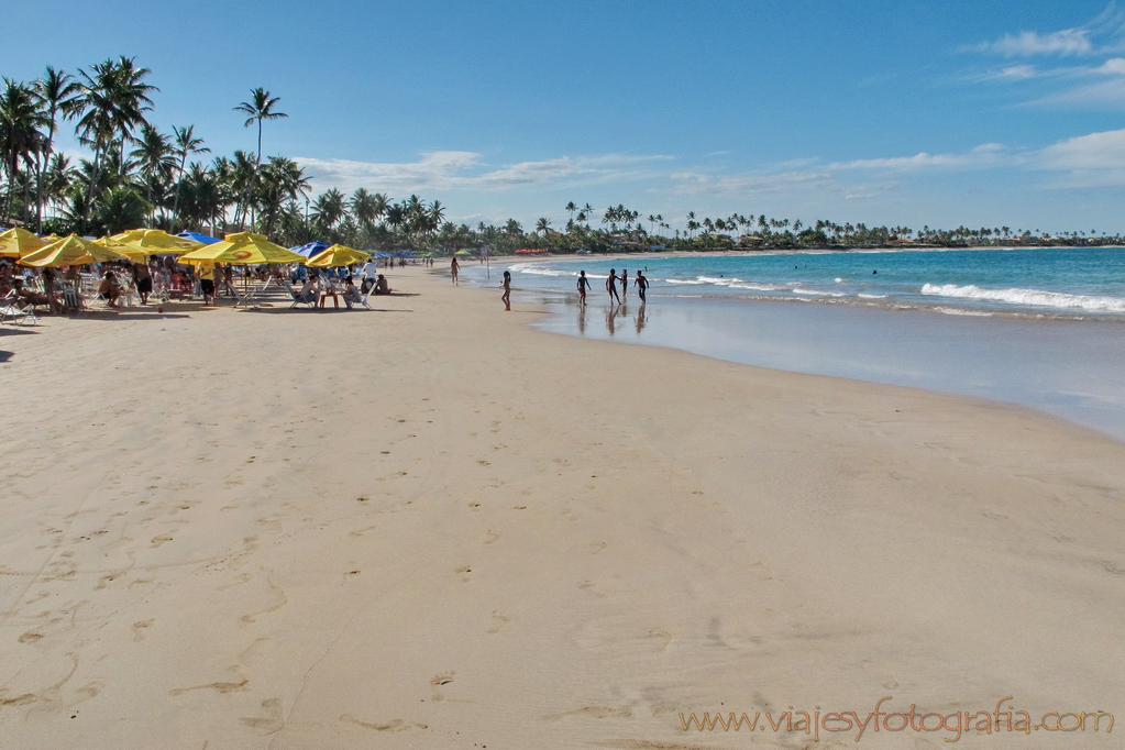Porto de Galinhas 33
