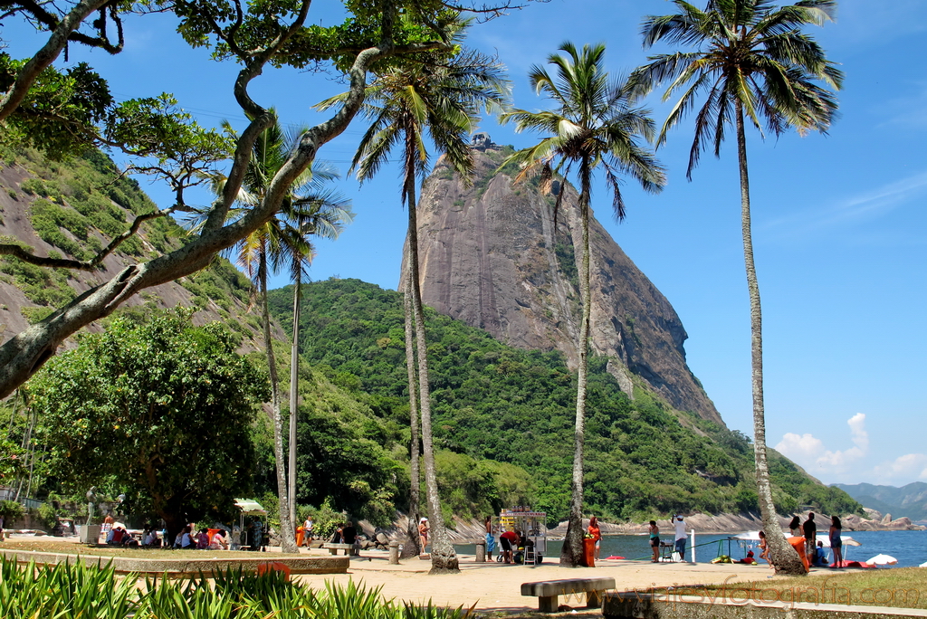 Vermelha 5633 Vermelha 5633