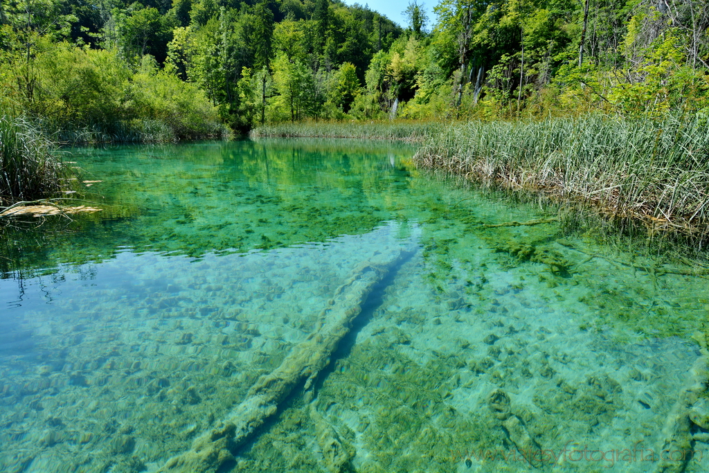 Plitvice_1478 Plitvice_1478