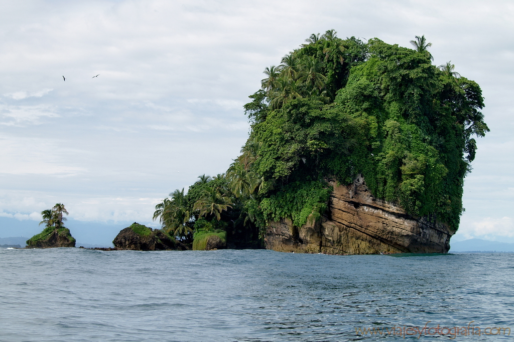 Bocas del Toro Isla de los Pájaros 4 Bocas del Toro Isla de los Pájaros 4