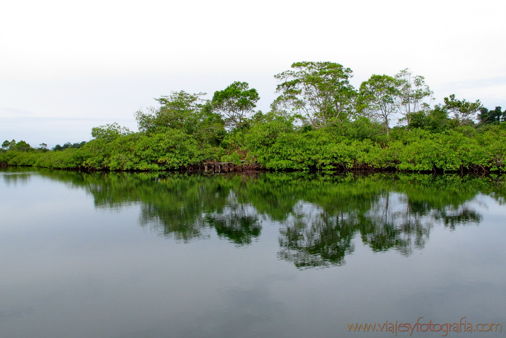 bocas-del-toro-6182 bocas-del-toro-6182