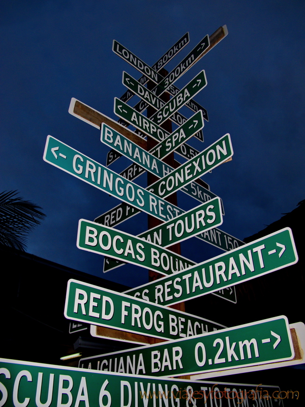 bocas-del-toro-6351 bocas-del-toro-6351