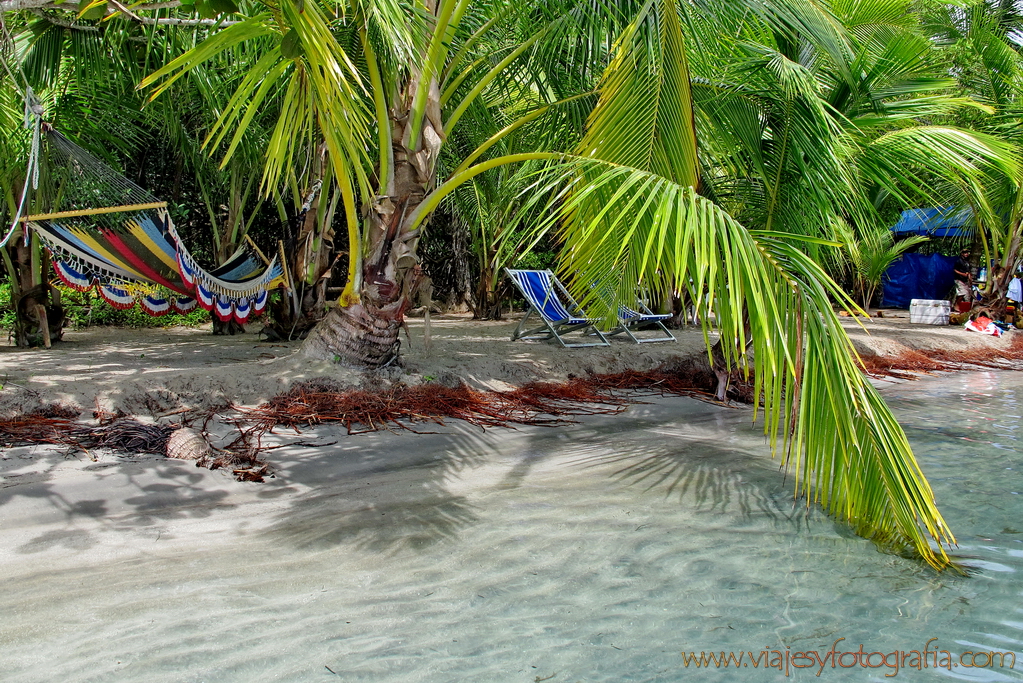 bocas-del-toro-playa-de-las-estrellas-0006 bocas-del-toro-playa-de-las-estrellas-0006