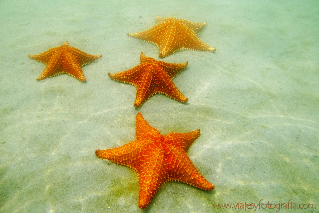 bocas-del-toro_6531