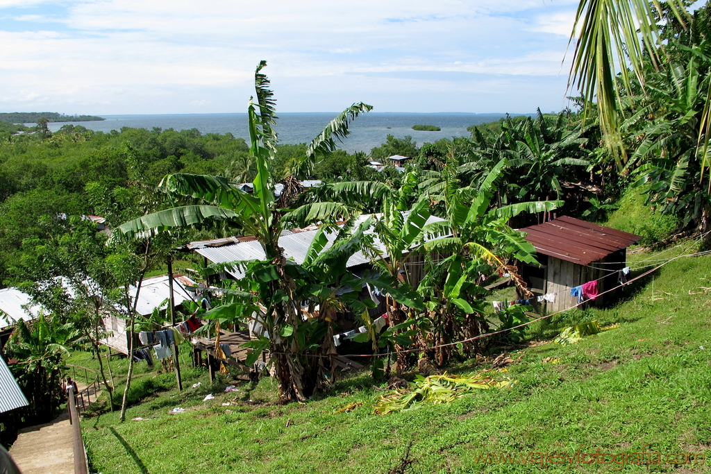 bocas-del-toro_6595 bocas-del-toro_6595