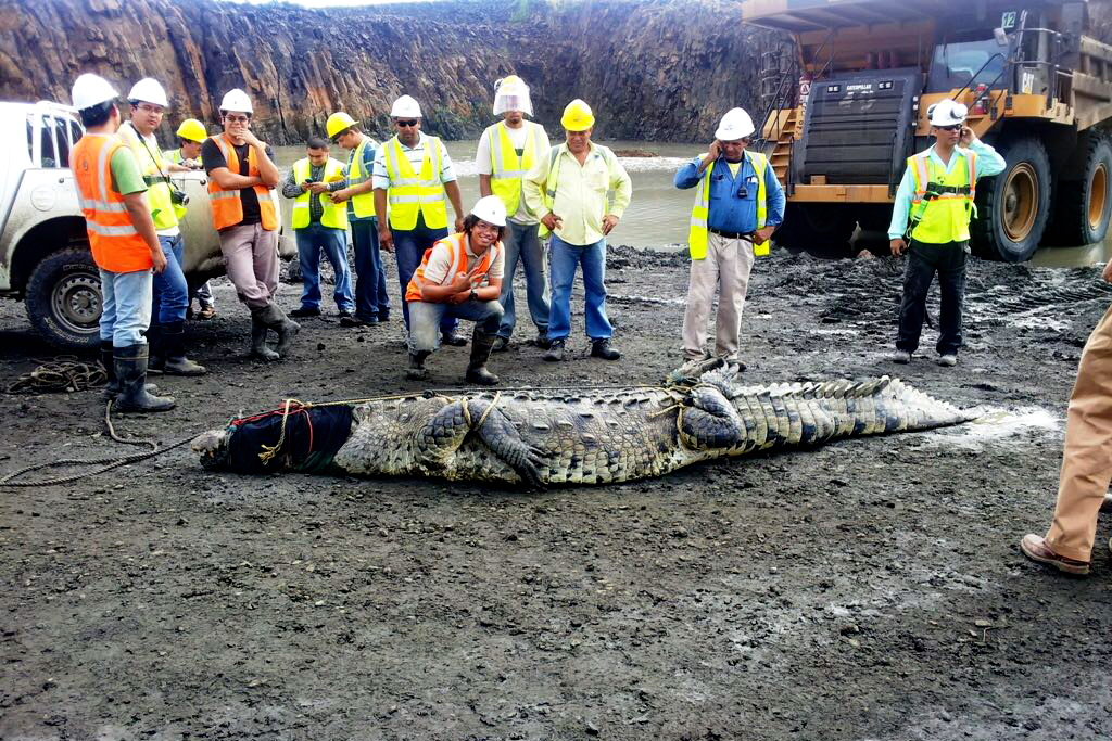 canal-ampliacion-20161020-wa0062 canal-ampliacion-20161020-wa0062